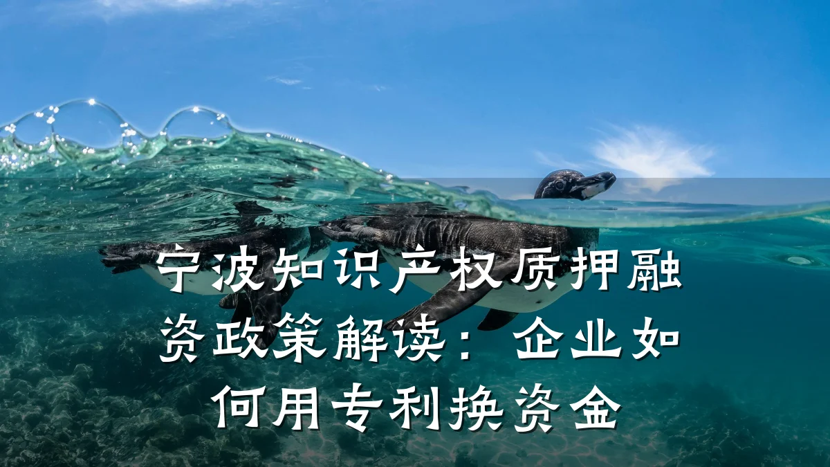 宁波知识产权质押融资政策解读:企业如何用专利换资金