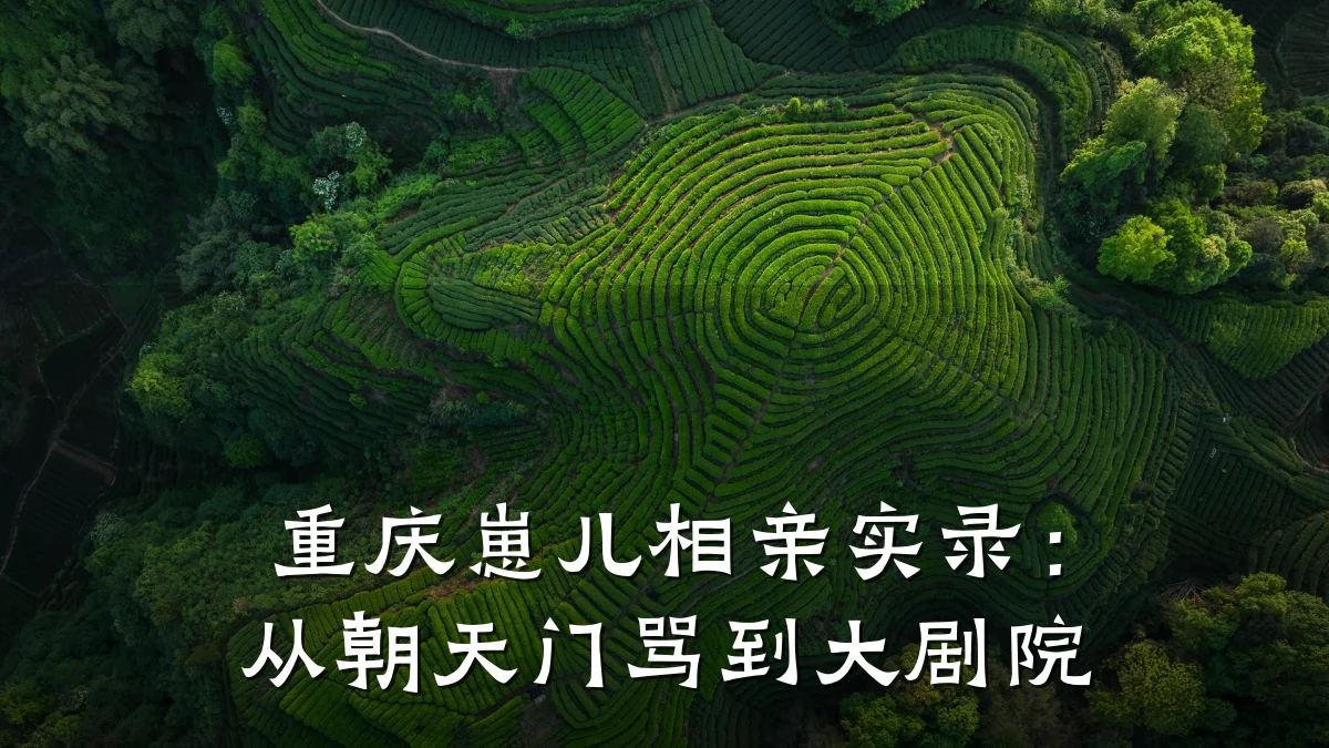 重庆崽儿相亲实录：从朝天门骂到大剧院