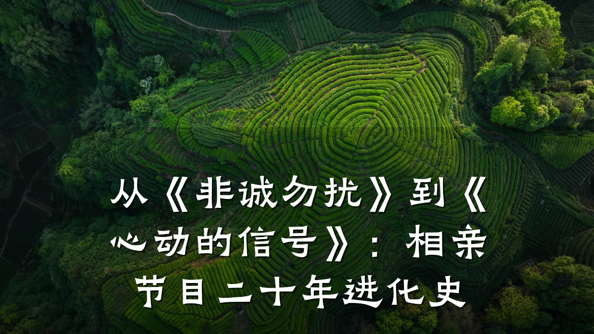 从《非诚勿扰》到《心动的信号》:相亲节目二十年进化史
