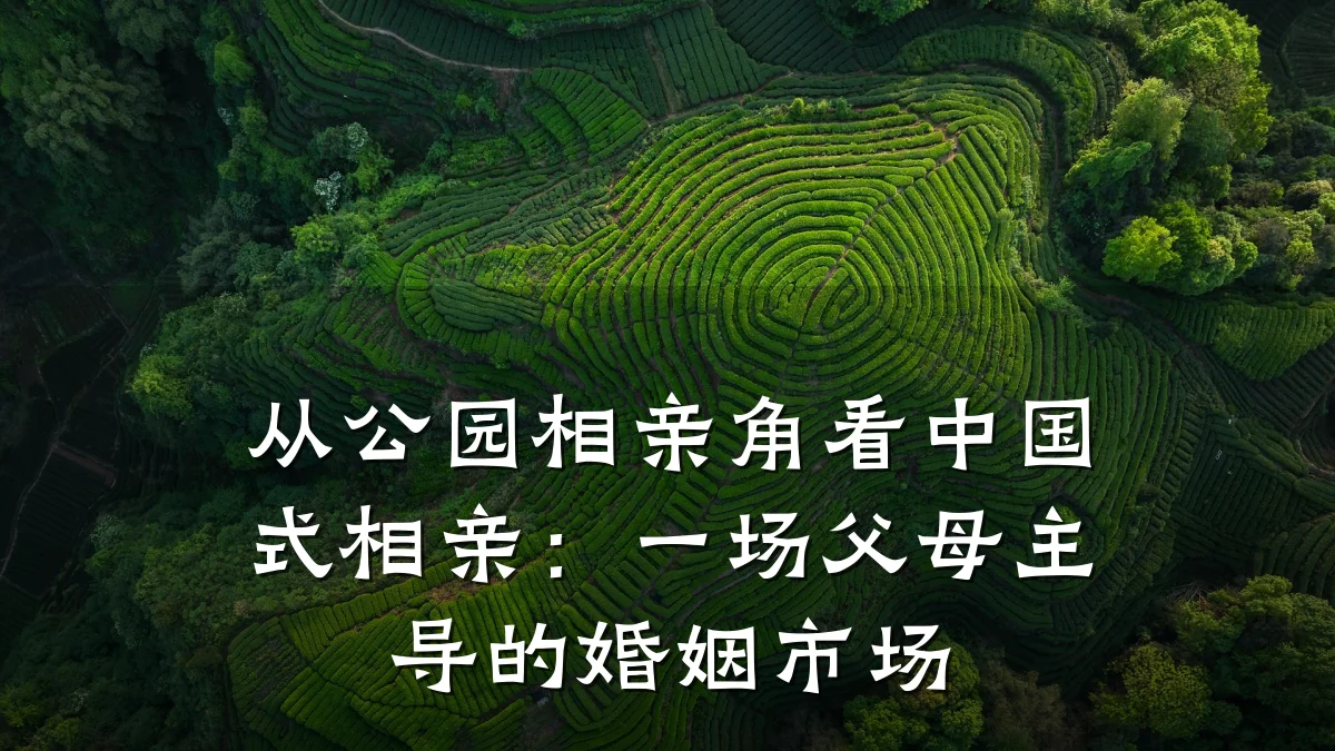 从公园相亲角看中国式相亲：一场父母主导的婚姻市场