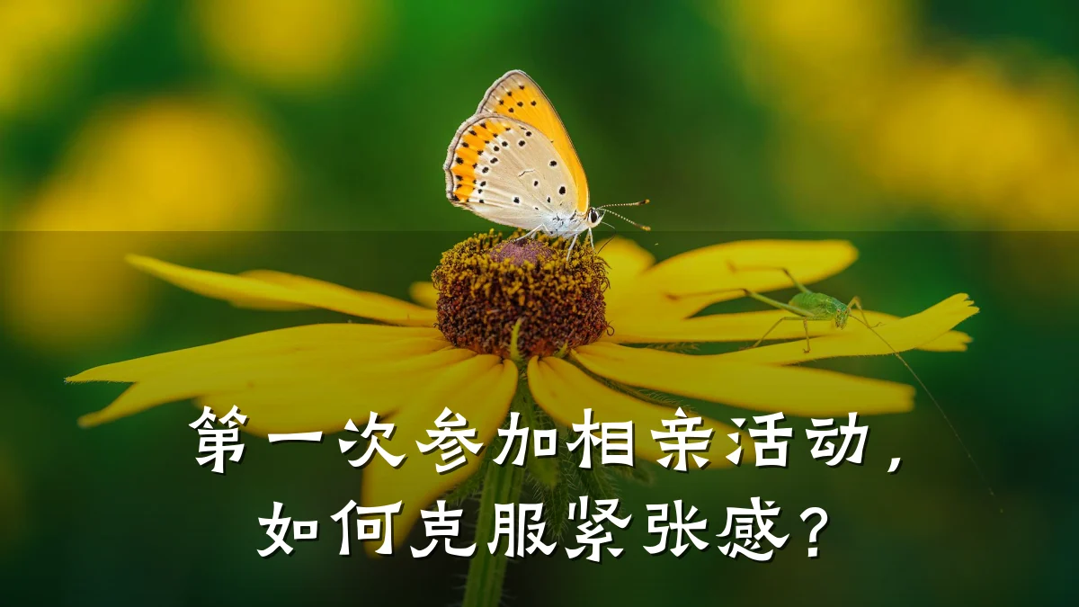 第一次参加相亲活动,如何克服紧张感?