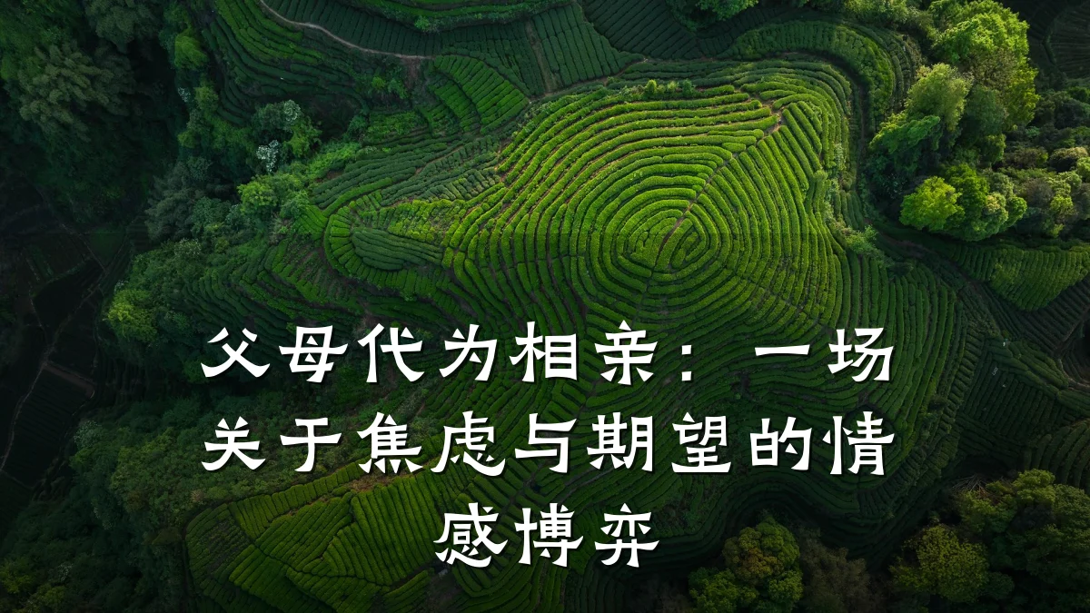 父母代为相亲:一场关于焦虑与期望的情感博弈