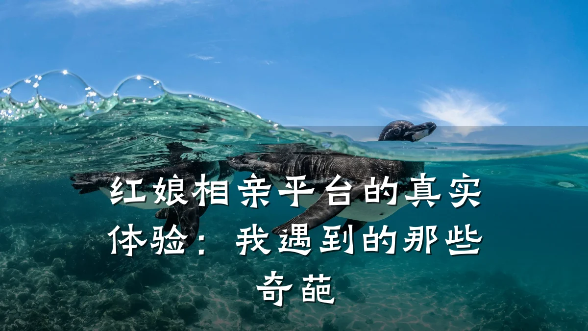 红娘相亲平台的真实体验:我遇到的那些奇葩