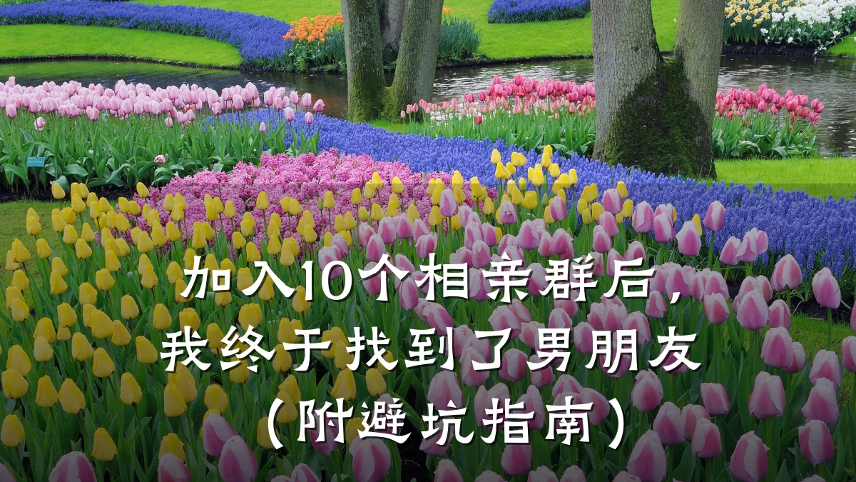 加入10个相亲群后,我终于找到了男朋友(附避坑指南)