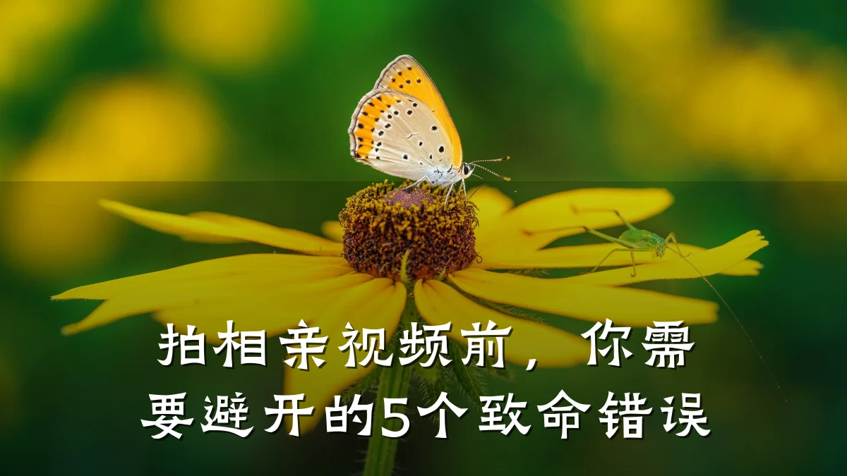 拍相亲视频前，你需要避开的5个致命错误