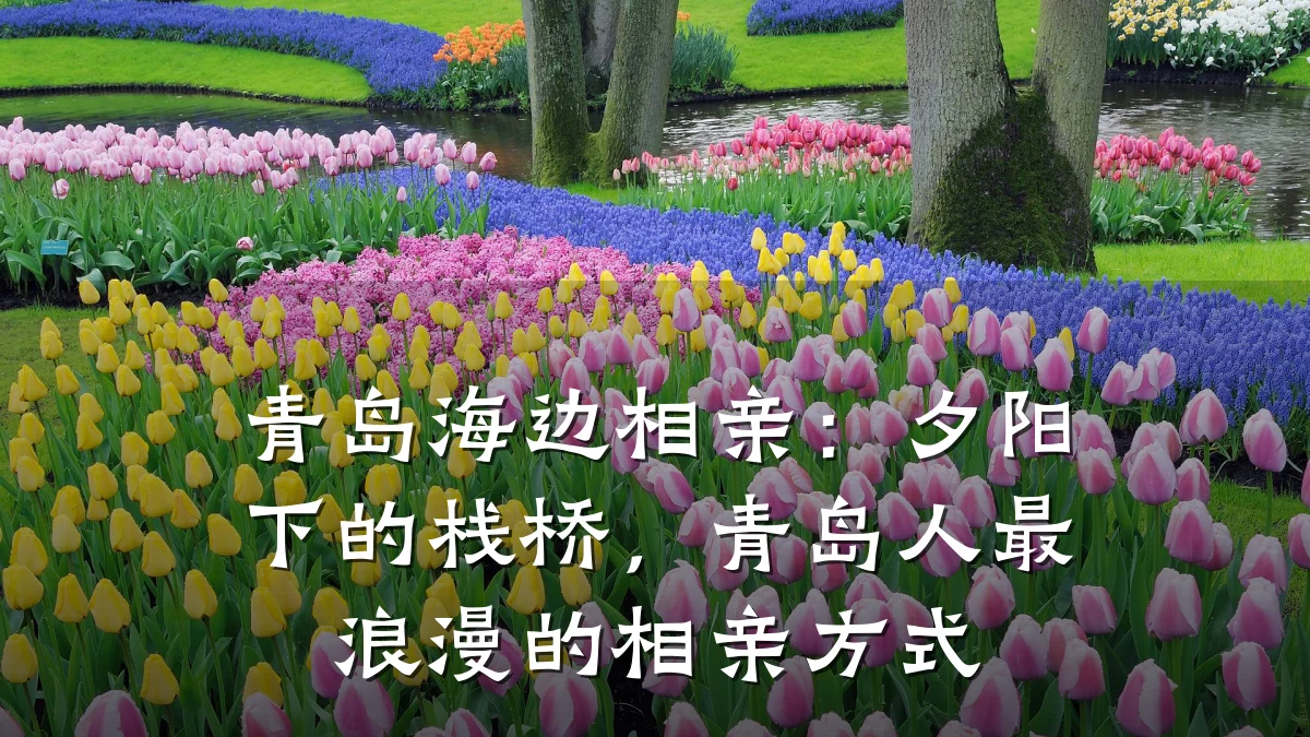 青岛海边相亲：夕阳下的栈桥，青岛人最浪漫的相亲方式