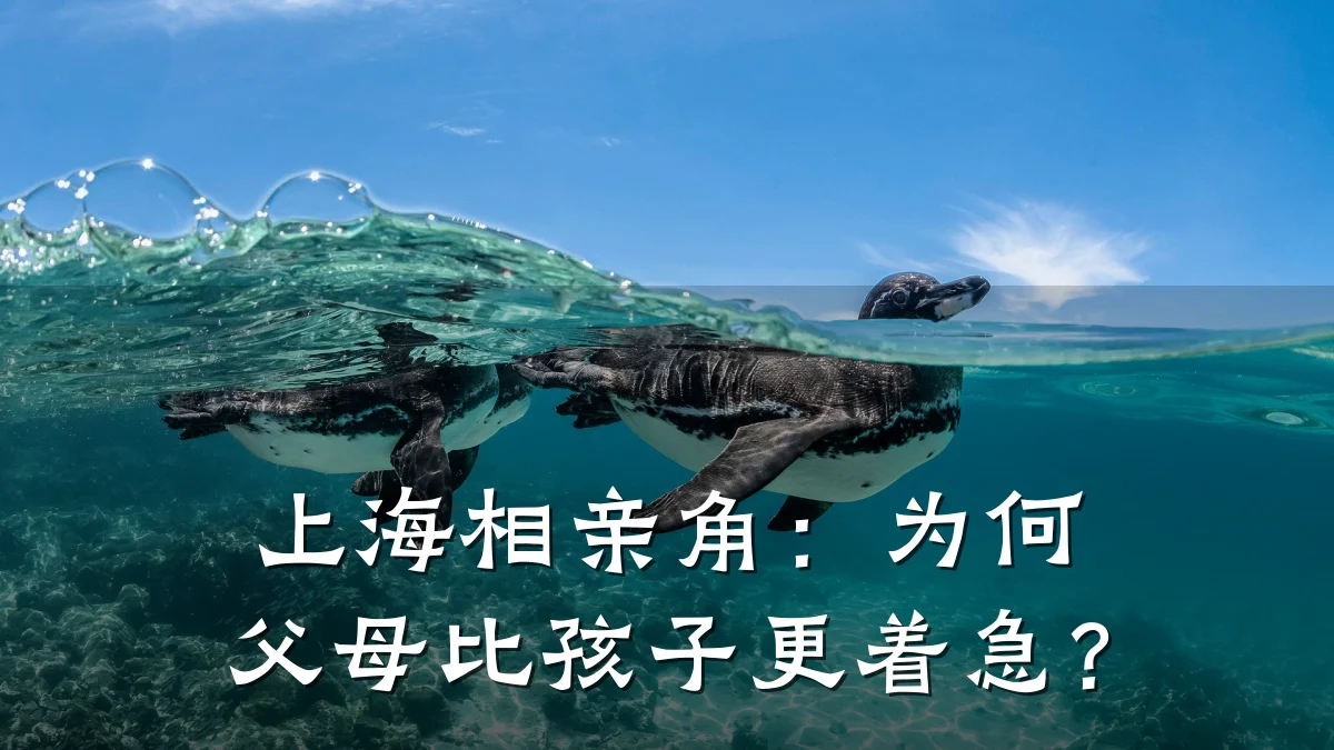上海相亲角:为何父母比孩子更着急?
