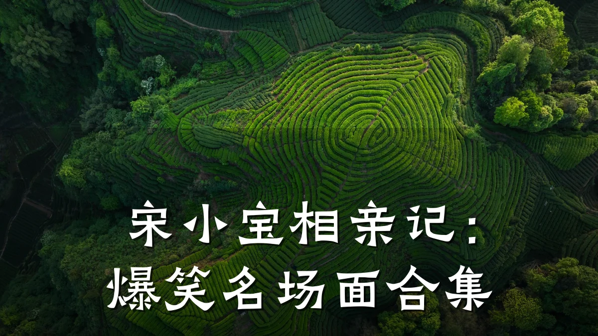 宋小宝相亲记:爆笑名场面合集