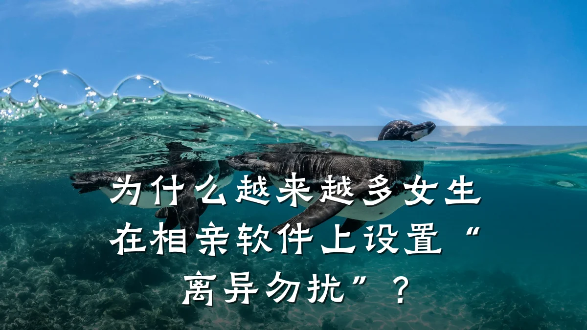 为什么越来越多女生在相亲软件上设置“离异勿扰”?