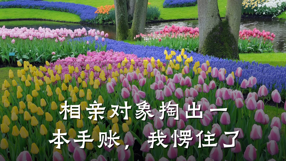 相亲对象掏出一本手账，我愣住了