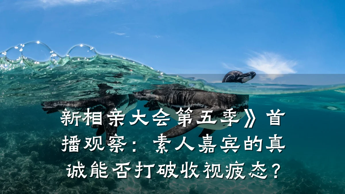新相亲大会第五季》首播观察:素人嘉宾的真诚能否打破收视疲态?