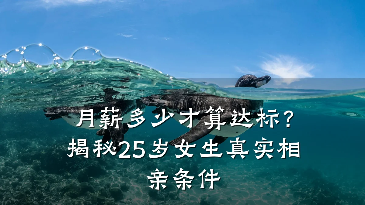 月薪多少才算达标?揭秘25岁女生真实相亲条件
