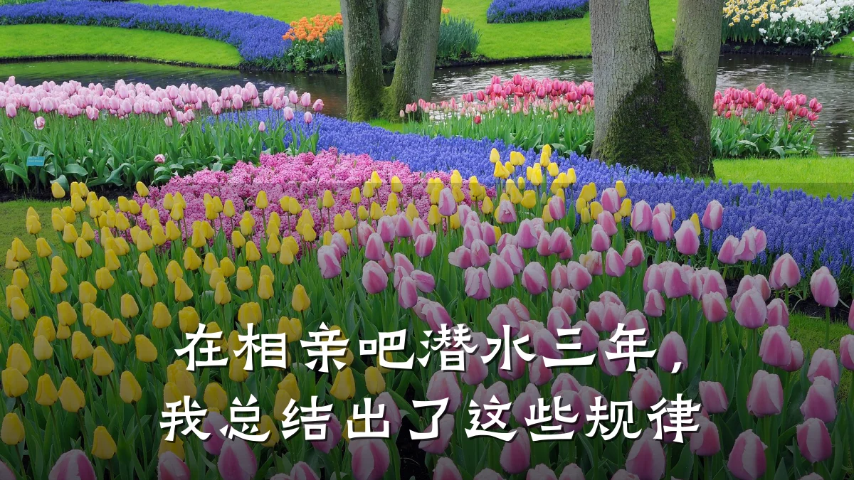 在相亲吧潜水三年,我总结出了这些规律