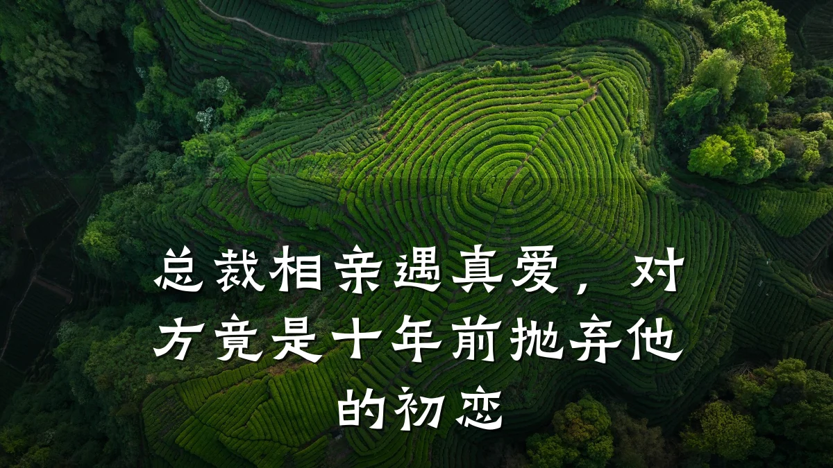 总裁相亲遇真爱,对方竟是十年前抛弃他的初恋