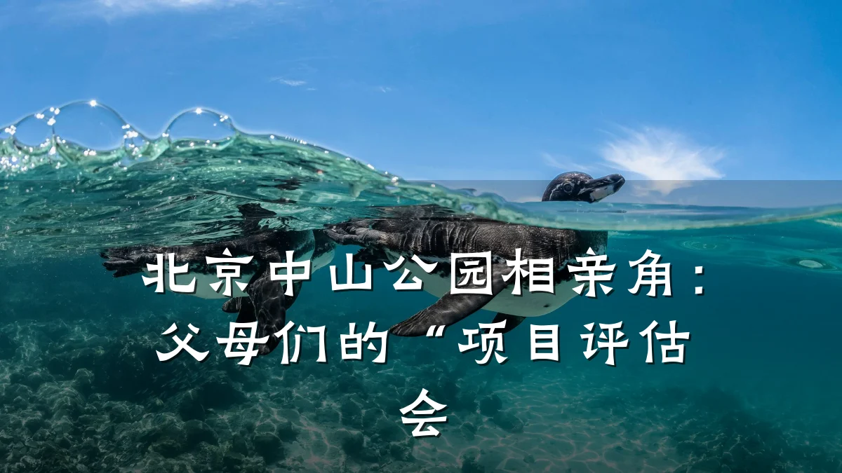 北京中山公园相亲角:父母们的“项目评估会
