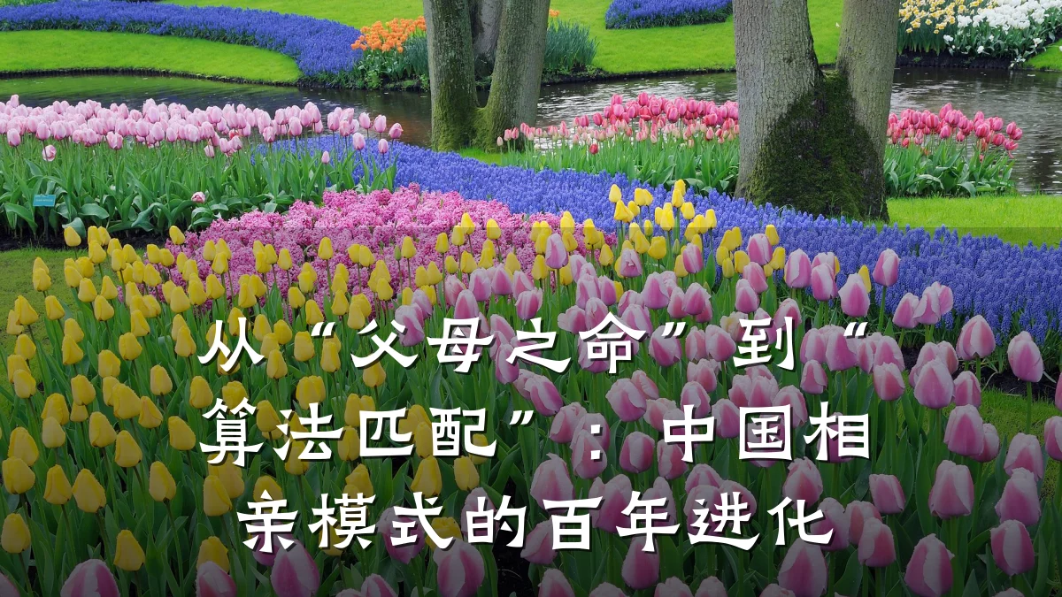 从“父母之命”到“算法匹配”:中国相亲模式的百年进化