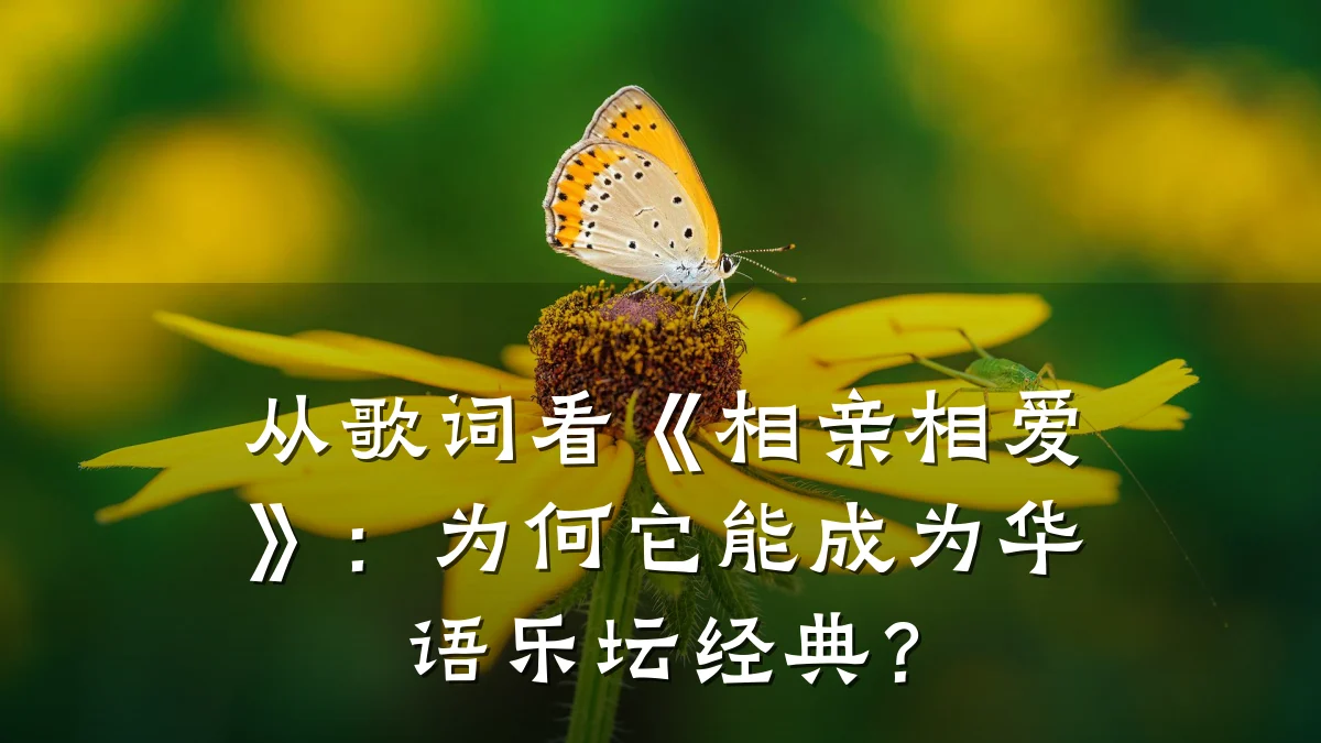 从歌词看《相亲相爱》：为何它能成为华语乐坛经典？
