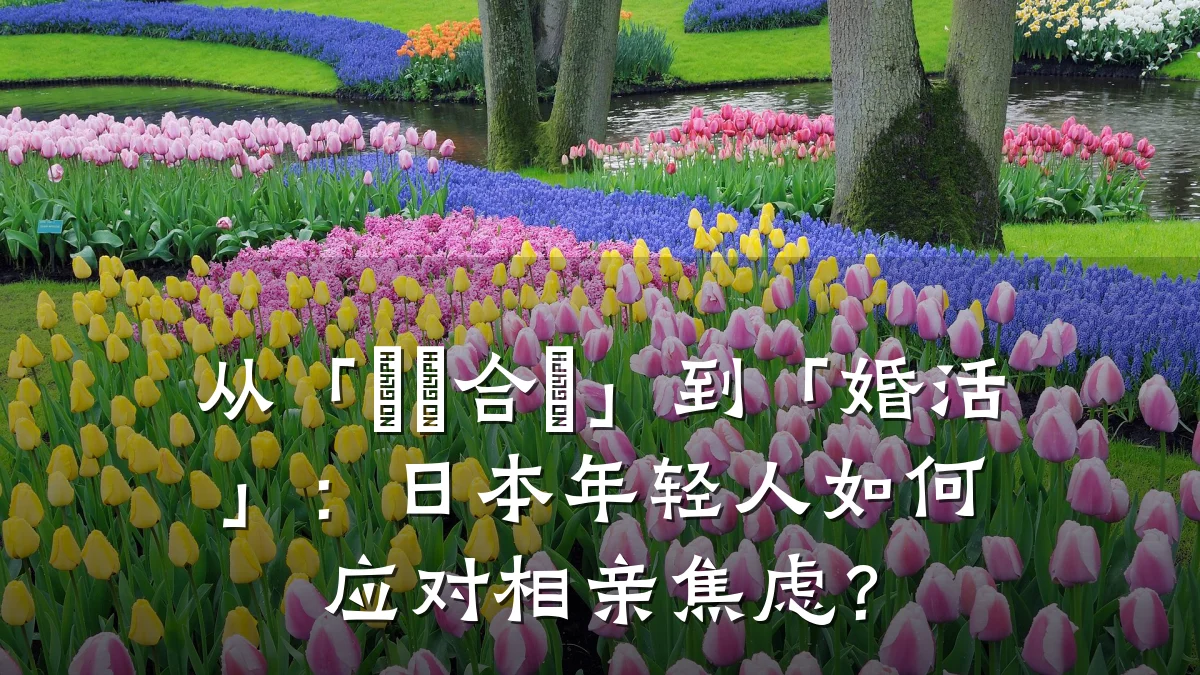 从「お見合い」到「婚活」:日本年轻人如何应对相亲焦虑?