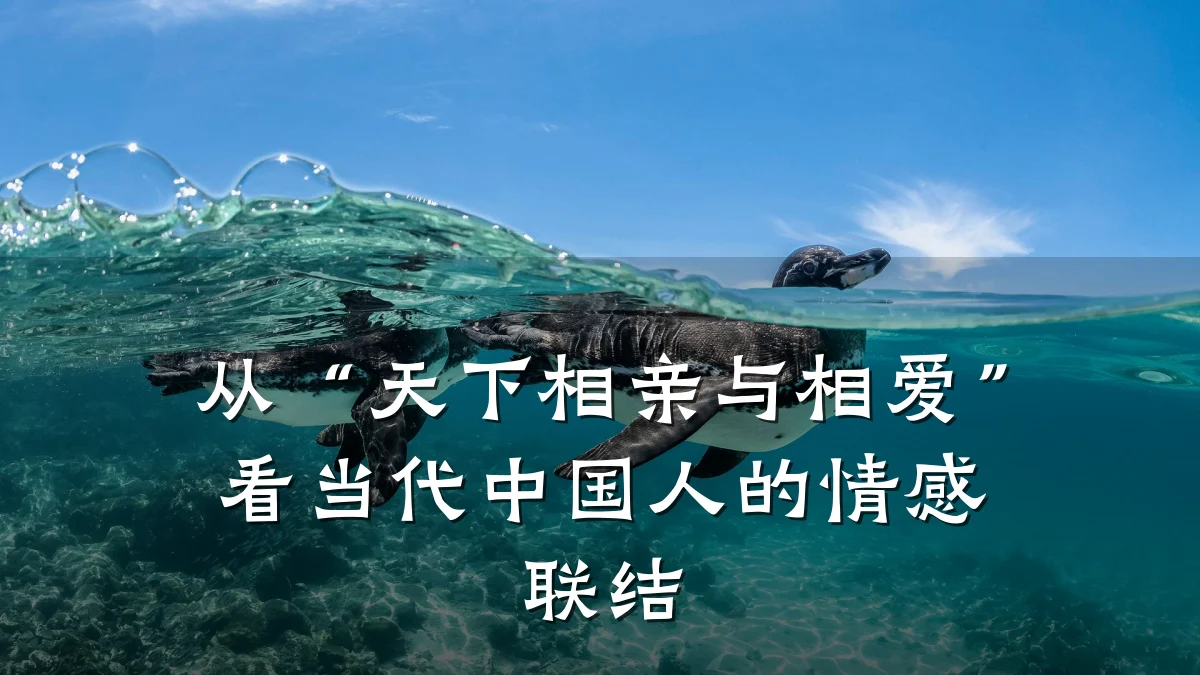 从“天下相亲与相爱”看当代中国人的情感联结