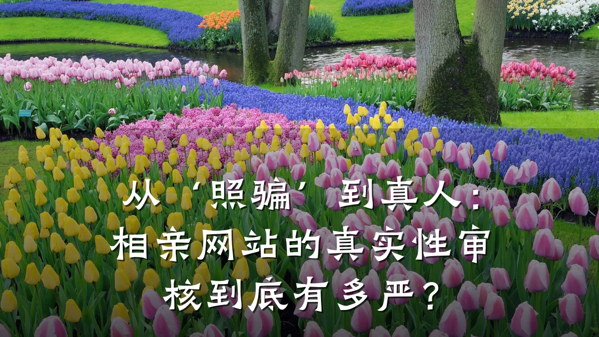 从‘照骗’到真人:相亲网站的真实性审核到底有多严?