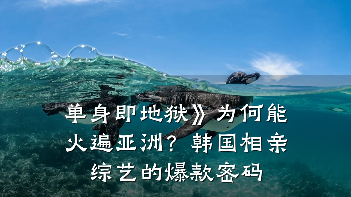 单身即地狱》为何能火遍亚洲?韩国相亲综艺的爆款密码