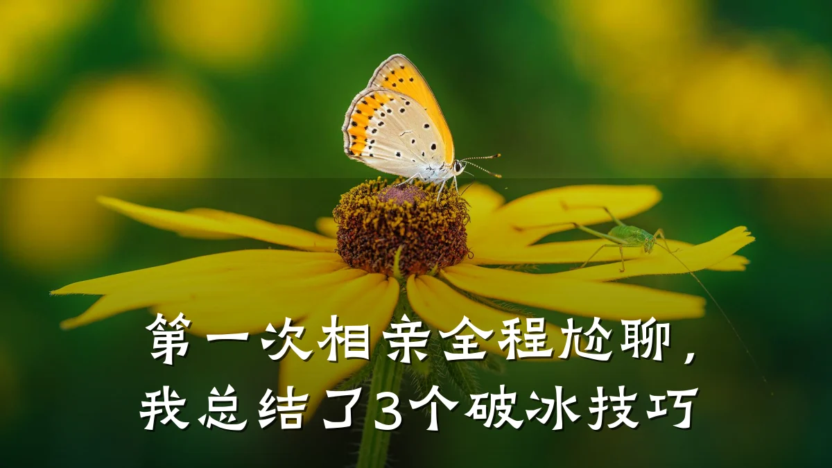 第一次相亲全程尬聊,我总结了3个破冰技巧