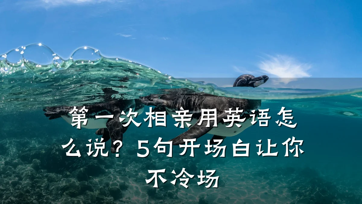 第一次相亲用英语怎么说?5句开场白让你不冷场