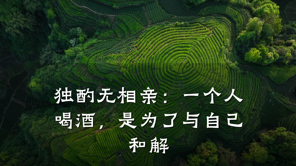 独酌无相亲：一个人喝酒，是为了与自己和解