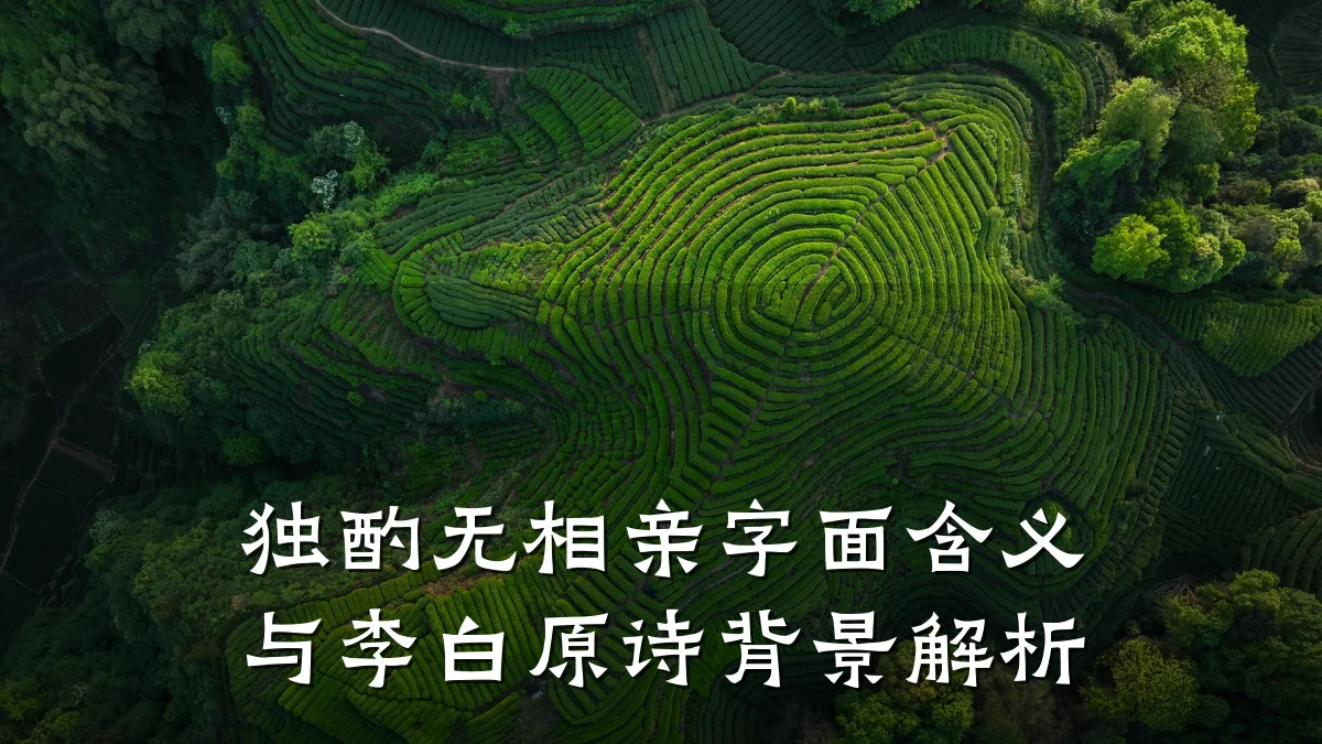 独酌无相亲字面含义与李白原诗背景解析
