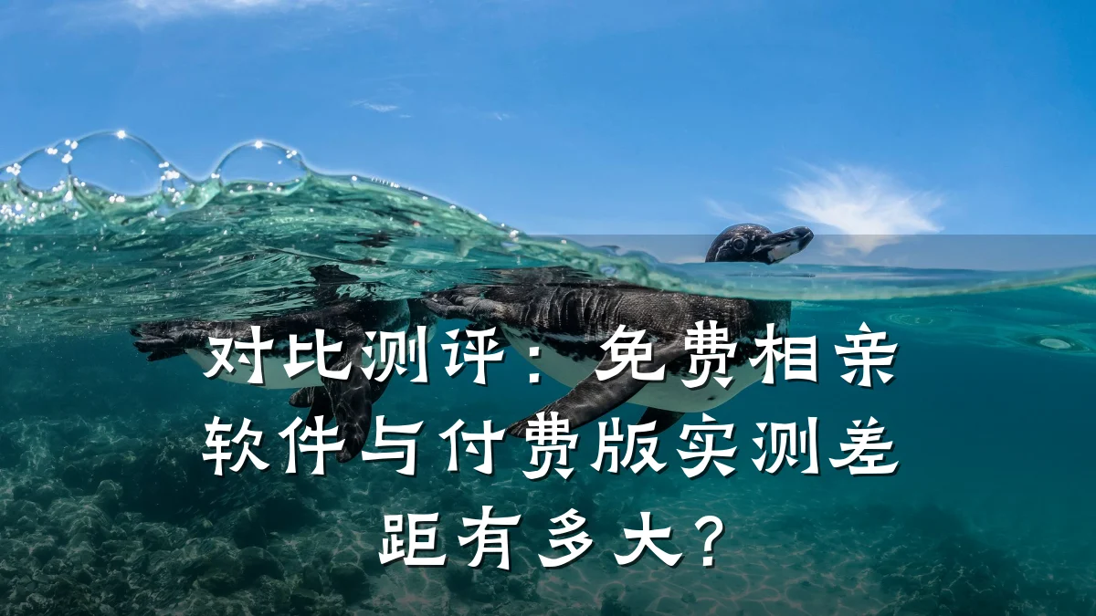 对比测评:免费相亲软件与付费版实测差距有多大?