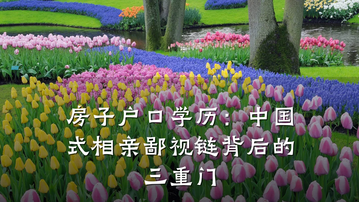 房子户口学历:中国式相亲鄙视链背后的三重门
