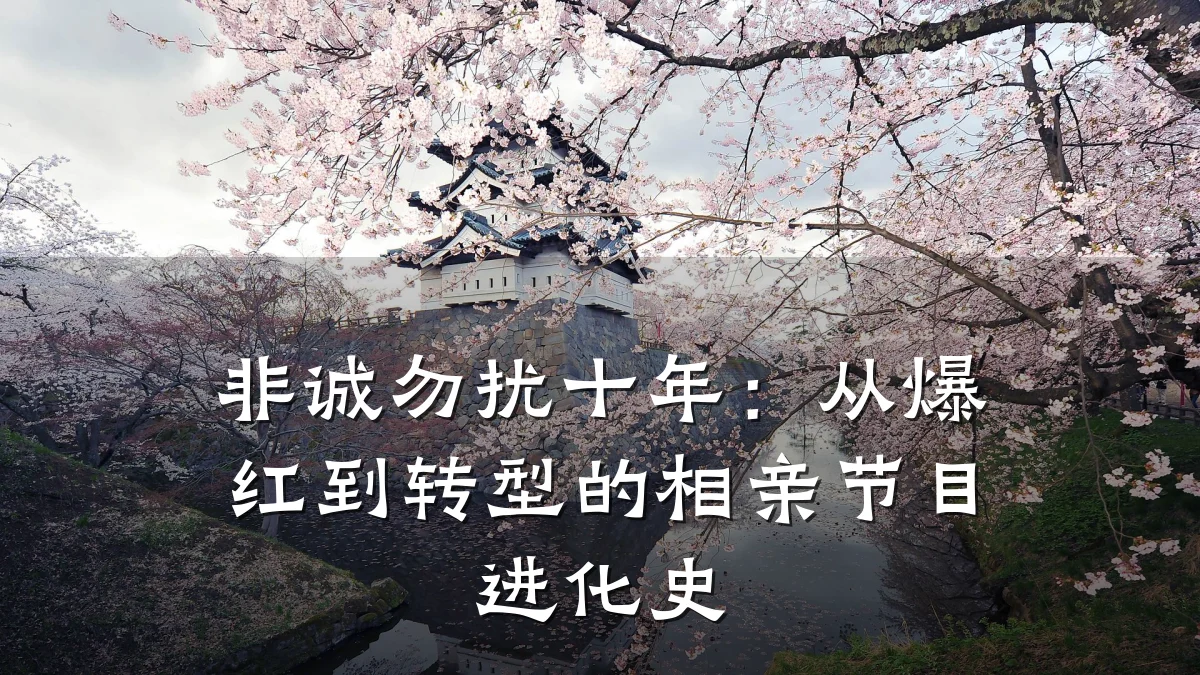 非诚勿扰十年:从爆红到转型的相亲节目进化史