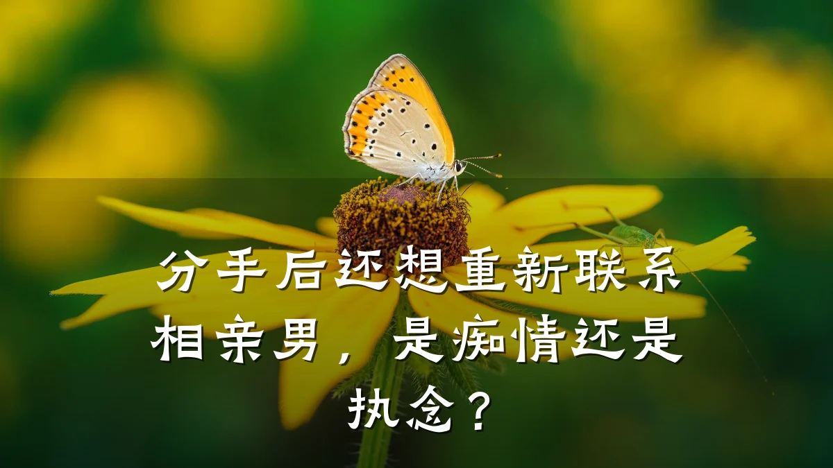 分手后还想重新联系相亲男,是痴情还是执念?