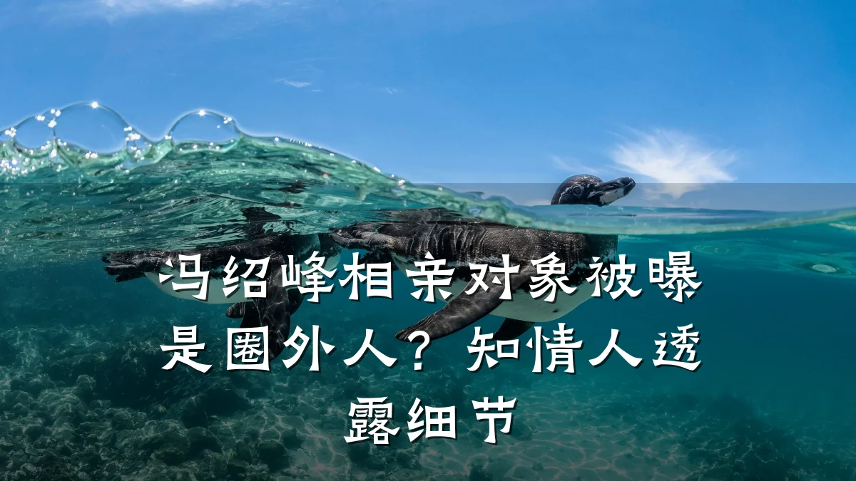 冯绍峰相亲对象被曝是圈外人？知情人透露细节