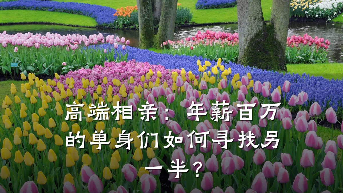 高端相亲:年薪百万的单身们如何寻找另一半?