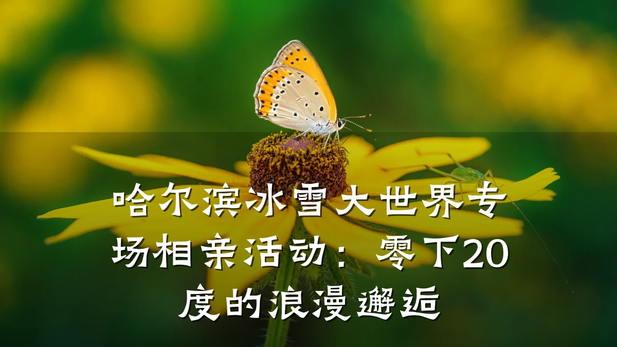 哈尔滨冰雪大世界专场相亲活动:零下20度的浪漫邂逅