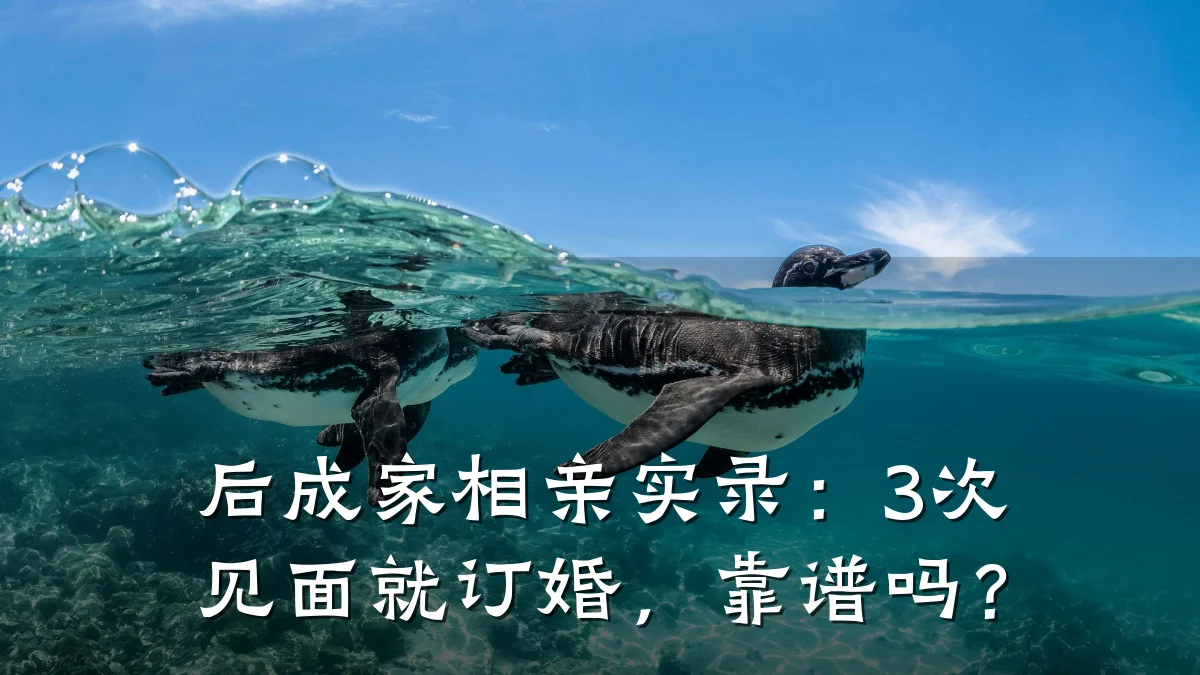 后成家相亲实录:3次见面就订婚,靠谱吗?