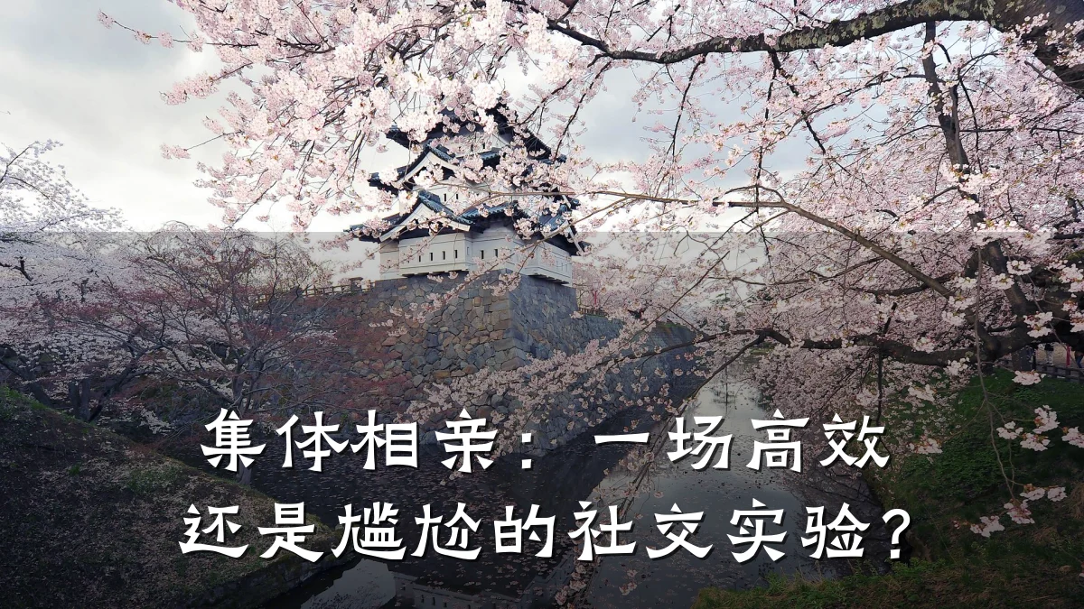 集体相亲:一场高效还是尴尬的社交实验?