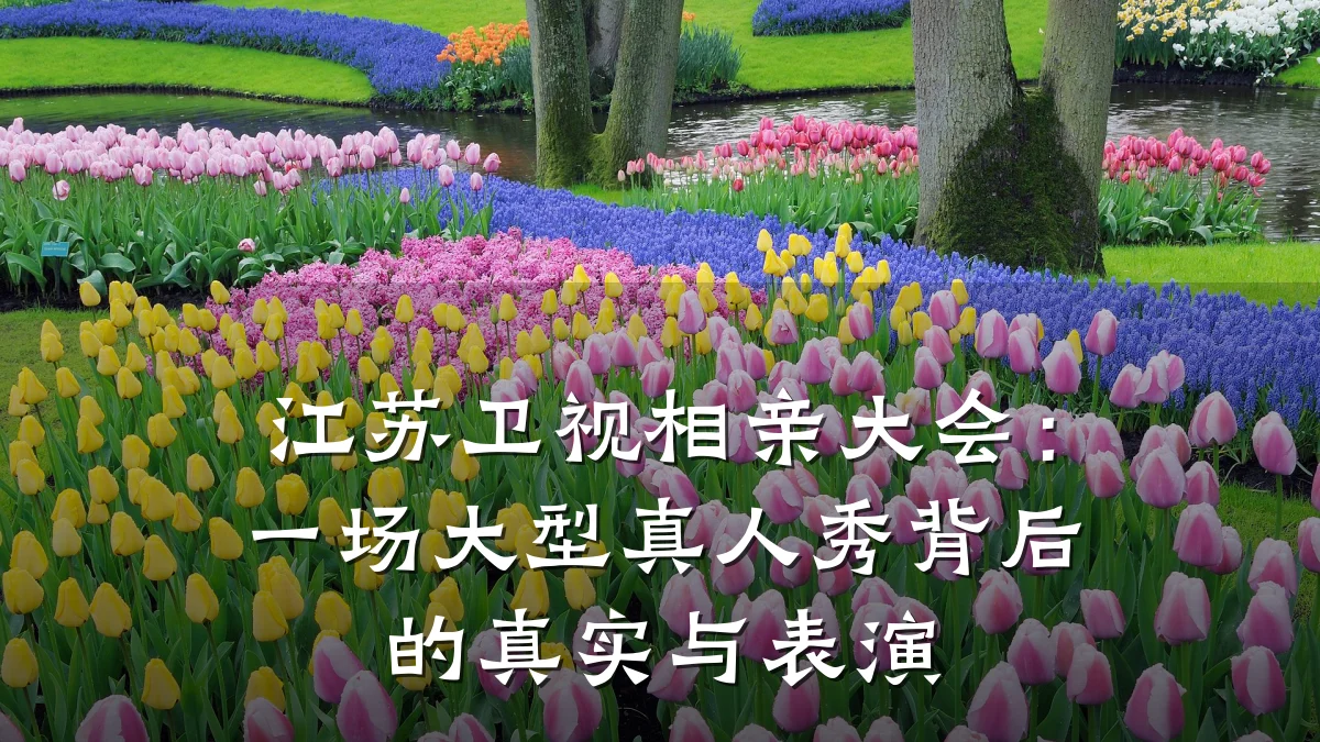 江苏卫视相亲大会:一场大型真人秀背后的真实与表演