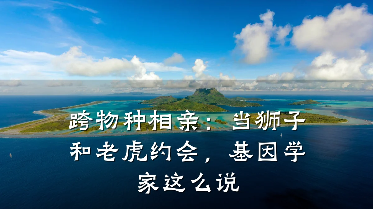 跨物种相亲:当狮子和老虎约会,基因学家这么说