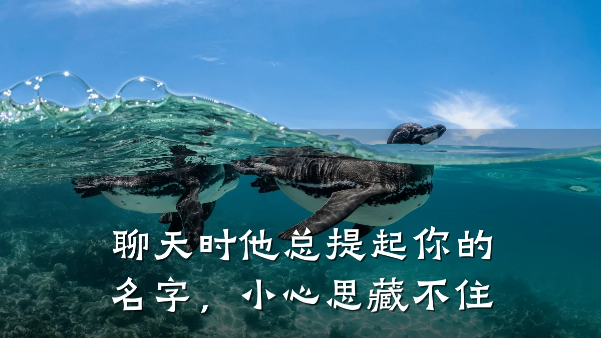 聊天时他总提起你的名字,小心思藏不住