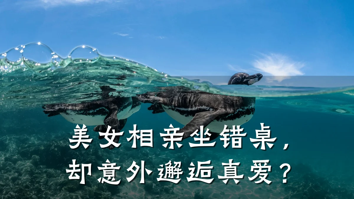 美女相亲坐错桌,却意外邂逅真爱?