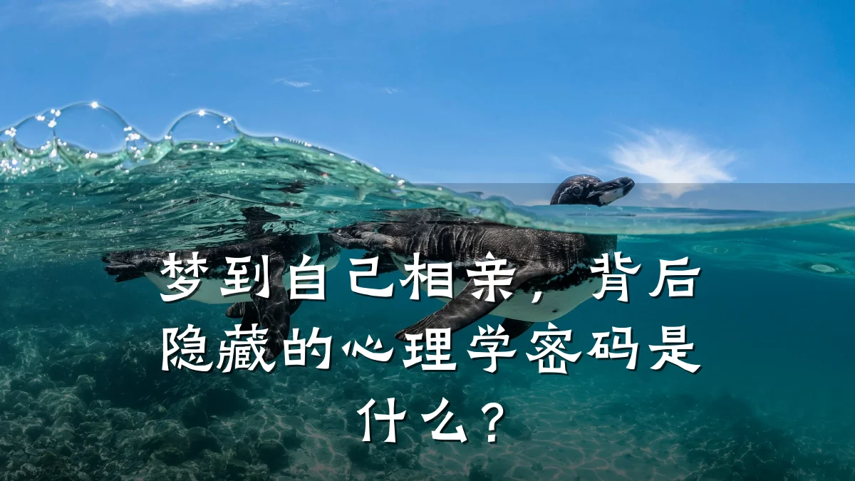 梦到自己相亲,背后隐藏的心理学密码是什么?