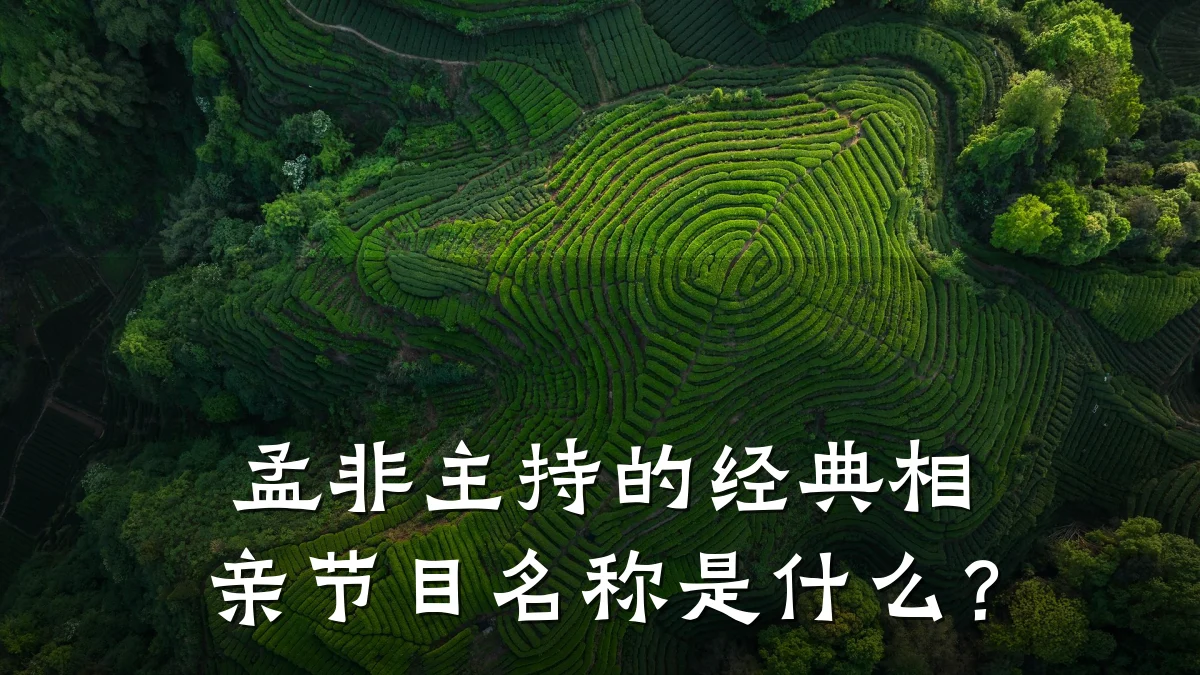 孟非主持的经典相亲节目名称是什么?
