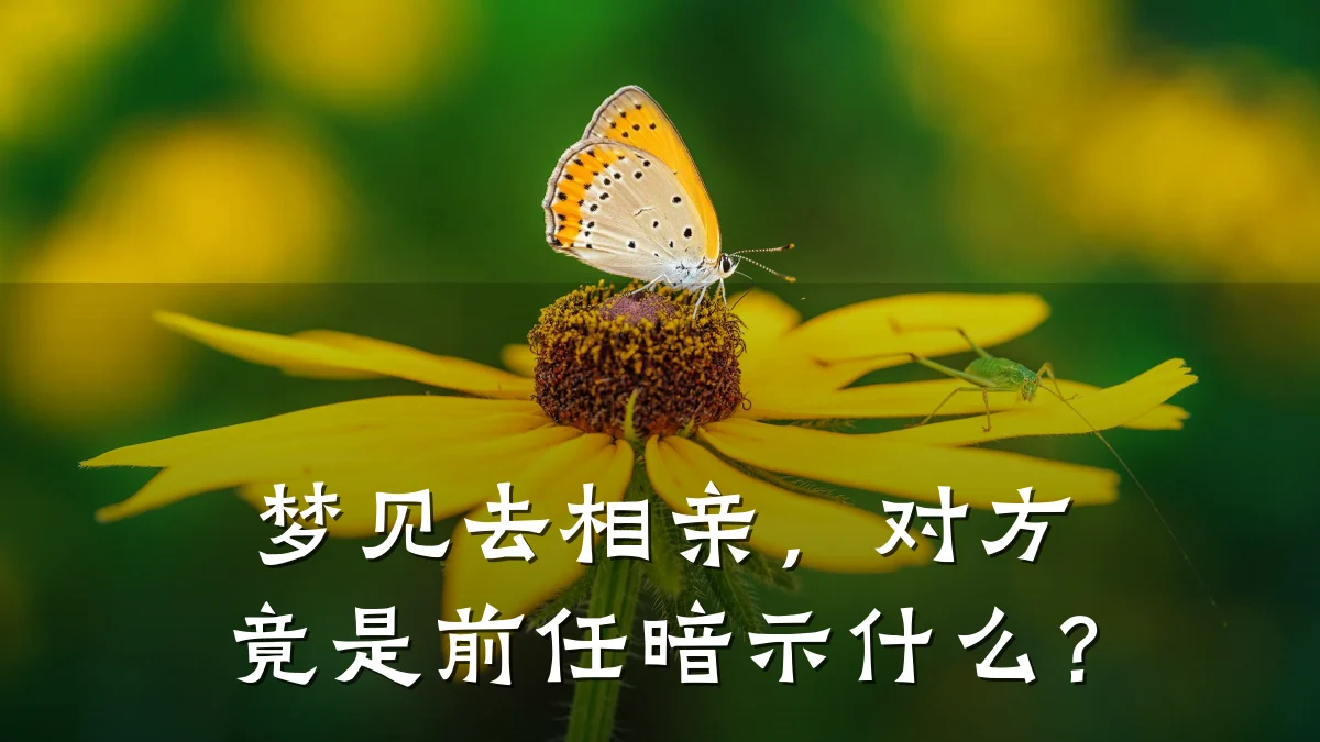 梦见去相亲，对方竟是前任暗示什么？