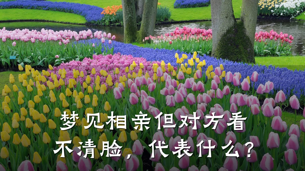 梦见相亲但对方看不清脸,代表什么?