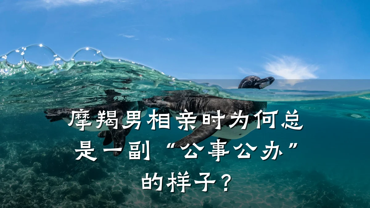摩羯男相亲时为何总是一副“公事公办”的样子?