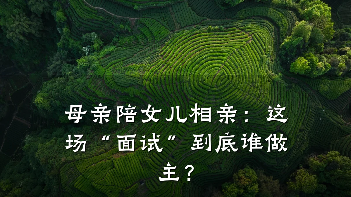 母亲陪女儿相亲:这场“面试”到底谁做主?