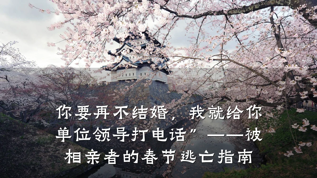 你要再不结婚，我就给你单位领导打电话”——被相亲者的春节逃亡指南