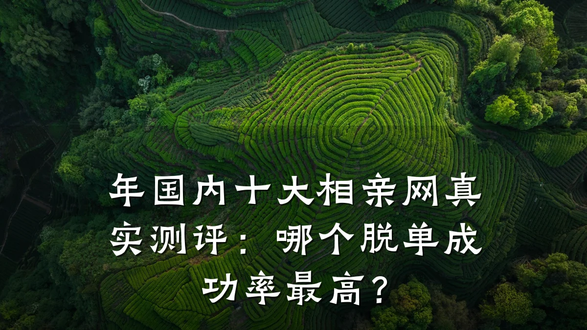 年国内十大相亲网真实测评:哪个脱单成功率最高?
